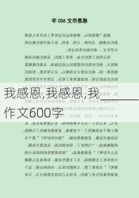 我感恩,我感恩,我______作文600字