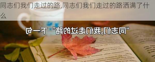 同志们我们走过的路,同志们我们走过的路洒满了什么-第2张图片-星梦范文网