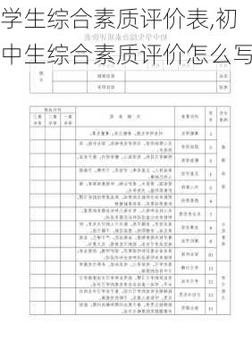 学生综合素质评价表,初中生综合素质评价怎么写-第1张图片-星梦范文网