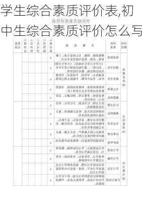 学生综合素质评价表,初中生综合素质评价怎么写-第2张图片-星梦范文网