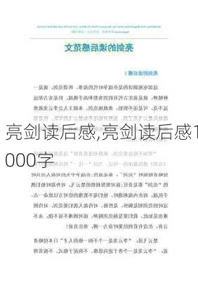 亮剑读后感,亮剑读后感1000字