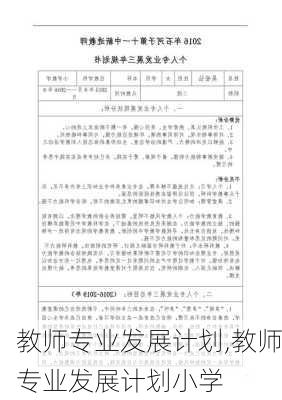 教师专业发展计划,教师专业发展计划小学