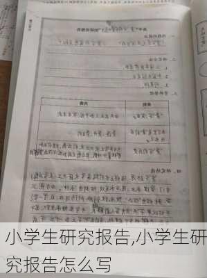 小学生研究报告,小学生研究报告怎么写-第2张图片-星梦范文网