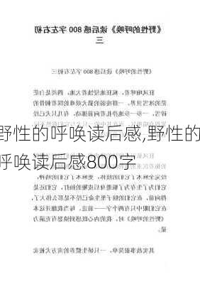 野性的呼唤读后感,野性的呼唤读后感800字-第3张图片-星梦范文网