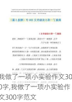 我做了一项小实验作文300字,我做了一项小实验作文300字范文-第1张图片-星梦范文网