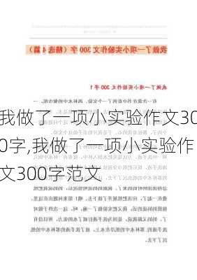 我做了一项小实验作文300字,我做了一项小实验作文300字范文-第2张图片-星梦范文网