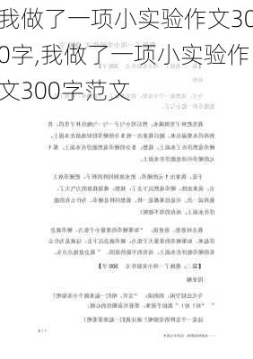 我做了一项小实验作文300字,我做了一项小实验作文300字范文-第3张图片-星梦范文网