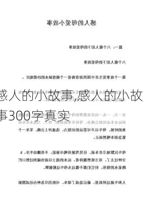 感人的小故事,感人的小故事300字真实