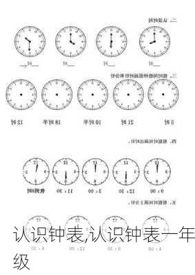 认识钟表,认识钟表一年级-第3张图片-星梦范文网