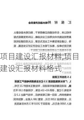 项目建设汇报材料,项目建设汇报材料格式-第2张图片-星梦范文网