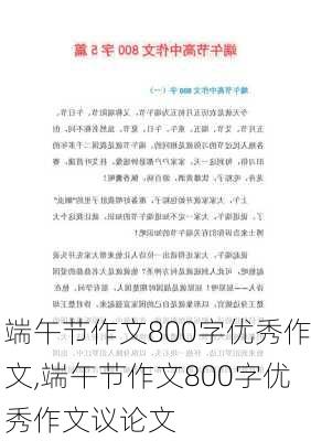 端午节作文800字优秀作文,端午节作文800字优秀作文议论文-第3张图片-星梦范文网