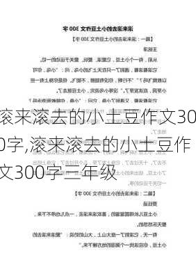 滚来滚去的小土豆作文300字,滚来滚去的小土豆作文300字三年级