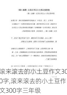 滚来滚去的小土豆作文300字,滚来滚去的小土豆作文300字三年级-第2张图片-星梦范文网