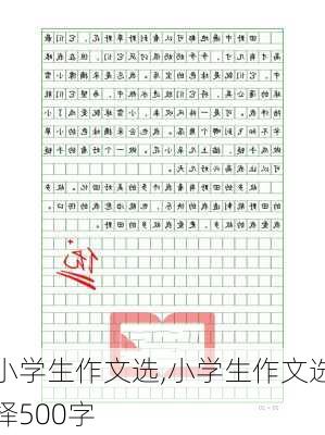 小学生作文选,小学生作文选择500字