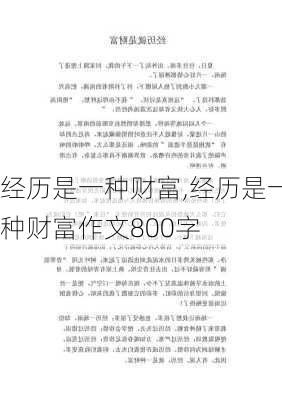 经历是一种财富,经历是一种财富作文800字