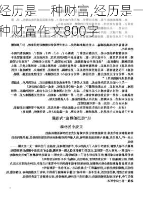 经历是一种财富,经历是一种财富作文800字-第3张图片-星梦范文网