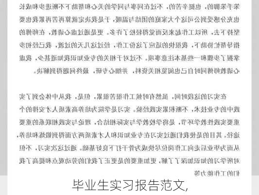 毕业生实习报告范文,