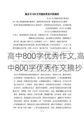 高中800字优秀作文,高中800字优秀作文摘抄-第3张图片-星梦范文网