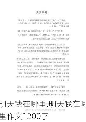 明天我在哪里,明天我在哪里作文1200字