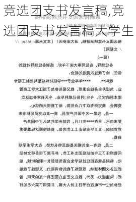 竞选团支书发言稿,竞选团支书发言稿大学生-第3张图片-星梦范文网