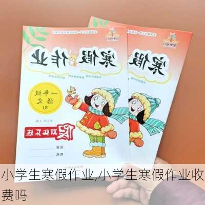 小学生寒假作业,小学生寒假作业收费吗-第2张图片-星梦范文网