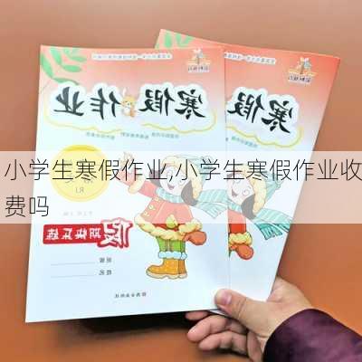 小学生寒假作业,小学生寒假作业收费吗-第3张图片-星梦范文网