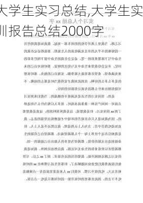 大学生实习总结,大学生实训报告总结2000字-第2张图片-星梦范文网