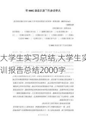 大学生实习总结,大学生实训报告总结2000字-第3张图片-星梦范文网