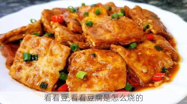 看看豆,看看豆腐是怎么烧的