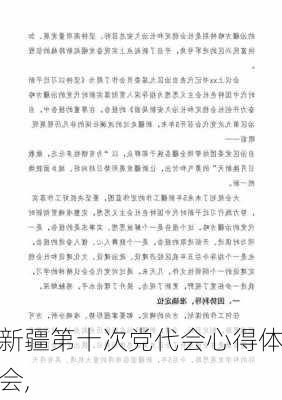 新疆第十次党代会心得体会,-第3张图片-星梦范文网