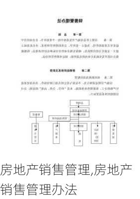 房地产销售管理,房地产销售管理办法-第1张图片-星梦范文网