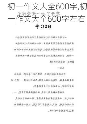 初一作文大全600字,初一作文大全600字左右-第2张图片-星梦范文网