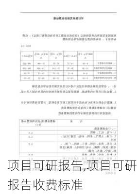 项目可研报告,项目可研报告收费标准-第2张图片-星梦范文网