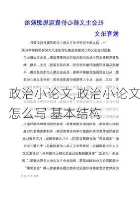 政治小论文,政治小论文怎么写 基本结构-第3张图片-星梦范文网