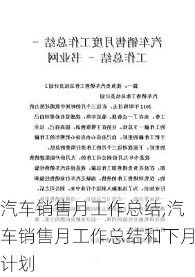 汽车销售月工作总结,汽车销售月工作总结和下月计划-第3张图片-星梦范文网