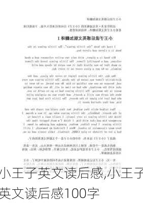 小王子英文读后感,小王子英文读后感100字-第1张图片-星梦范文网