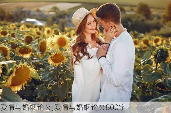 爱情与婚姻论文,爱情与婚姻论文800字-第3张图片-星梦范文网