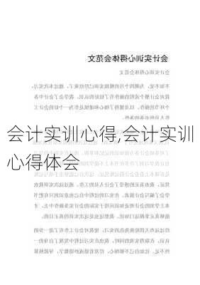 会计实训心得,会计实训心得体会-第2张图片-星梦范文网