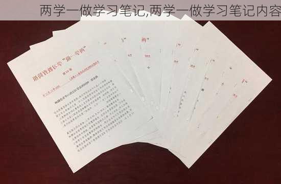 两学一做学习笔记,两学一做学习笔记内容-第2张图片-星梦范文网