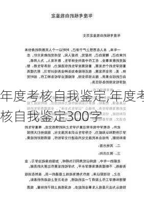 年度考核自我鉴定,年度考核自我鉴定300字-第3张图片-星梦范文网