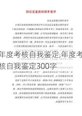 年度考核自我鉴定,年度考核自我鉴定300字-第2张图片-星梦范文网