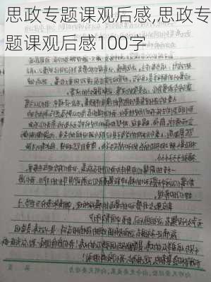 思政专题课观后感,思政专题课观后感100字