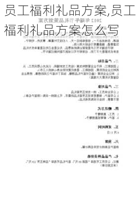 员工福利礼品方案,员工福利礼品方案怎么写-第3张图片-星梦范文网