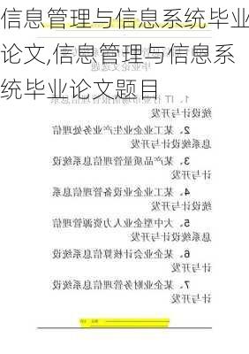 信息管理与信息系统毕业论文,信息管理与信息系统毕业论文题目