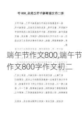 端午节作文800,端午节作文800字作文初二