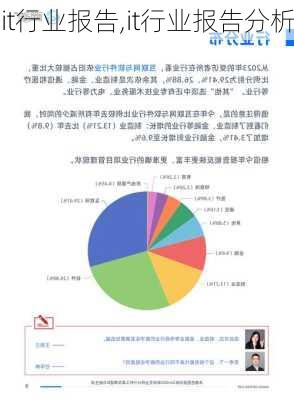 it行业报告,it行业报告分析-第1张图片-星梦范文网