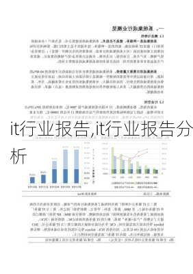 it行业报告,it行业报告分析-第2张图片-星梦范文网