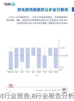 it行业报告,it行业报告分析-第3张图片-星梦范文网