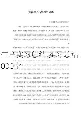 生产实习总结,实习总结1000字-第2张图片-星梦范文网