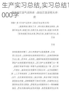 生产实习总结,实习总结1000字-第3张图片-星梦范文网